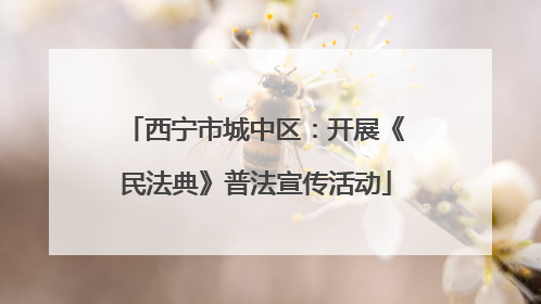西宁市城中区：开展《民法典》普法宣传活动