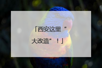 西安这里“大改造”！