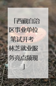 西藏自治区事业单位笔试开考 林芝就业服务亮点频现