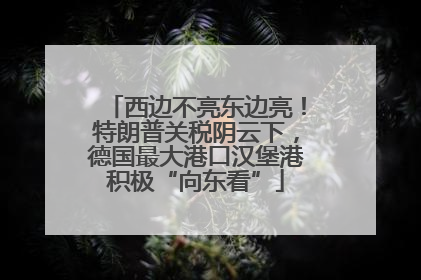 西边不亮东边亮！特朗普关税阴云下，德国最大港口汉堡港积极“向东看”