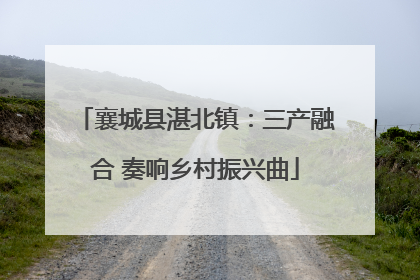 襄城县湛北镇：三产融合 奏响乡村振兴曲