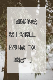 观潮的螃蟹丨湖南工程机械“双城记”