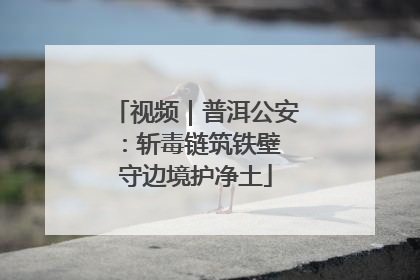视频｜普洱公安：斩毒链筑铁壁 守边境护净土
