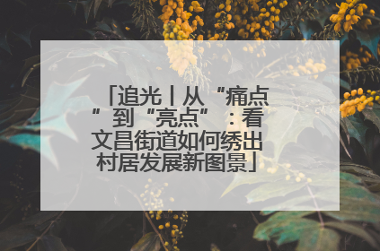 追光丨从“痛点”到“亮点”：看文昌街道如何绣出村居发展新图景