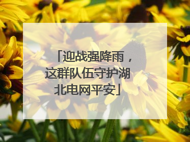 迎战强降雨，这群队伍守护湖北电网平安