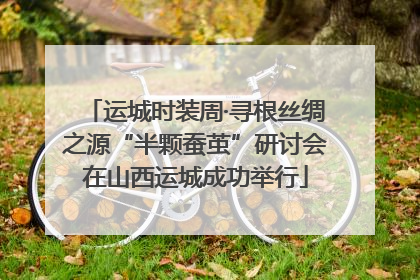 运城时装周·寻根丝绸之源“半颗蚕茧”研讨会在山西运城成功举行