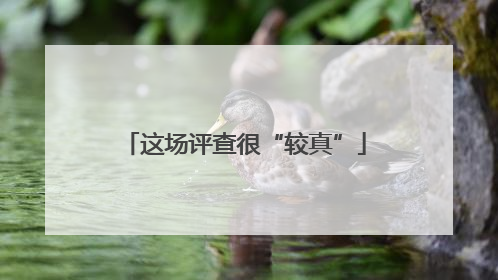 这场评查很“较真”