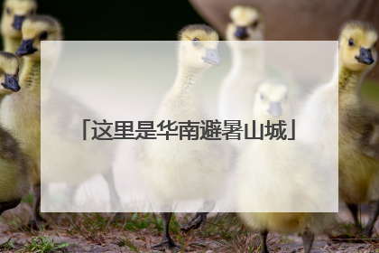 这里是华南避暑山城