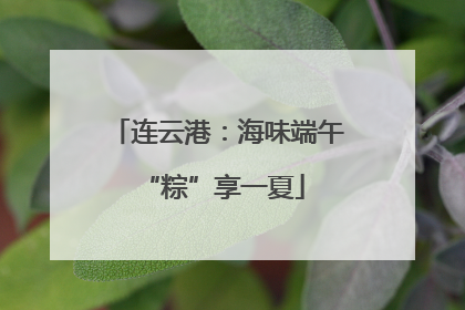 连云港：海味端午 “粽”享一夏