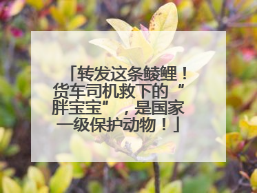 转发这条鲮鲤！货车司机救下的“胖宝宝”，是国家一级保护动物！