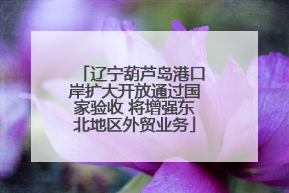 辽宁葫芦岛港口岸扩大开放通过国家验收 将增强东北地区外贸业务