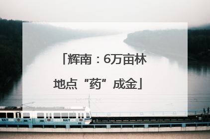 辉南：6万亩林地点“药”成金