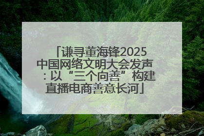谦寻董海锋2025中国网络文明大会发声：以“三个向善”构建直播电商善意长河