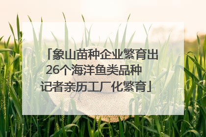 象山苗种企业繁育出26个海洋鱼类品种 记者亲历工厂化繁育