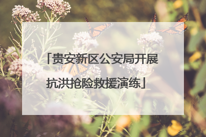 贵安新区公安局开展抗洪抢险救援演练
