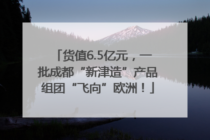 货值6.5亿元，一批成都“新津造”产品组团“飞向”欧洲！