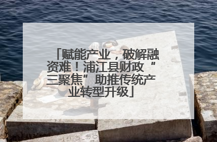 赋能产业，破解融资难！浦江县财政“三聚焦”助推传统产业转型升级