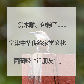 赏木雕、包粽子……宁津中华传统家学文化园圈粉“洋朋友”