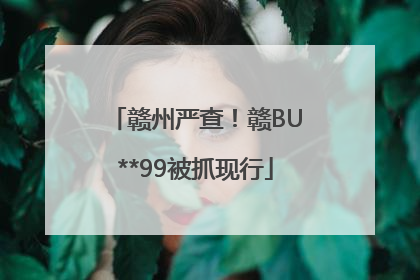 赣州严查！赣BU**99被抓现行