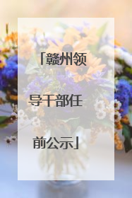 赣州领导干部任前公示