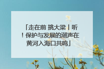 走在前 挑大梁丨听！保护与发展的潮声在黄河入海口共鸣