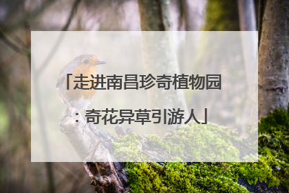走进南昌珍奇植物园：奇花异草引游人