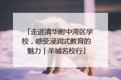 走进清华附中湾区学校，感受浸润式教育的魅力｜羊城名校行