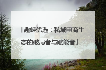 趣蛙优选：私域电商生态的破局者与赋能者