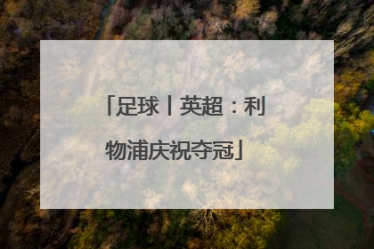 足球丨英超：利物浦庆祝夺冠