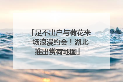 足不出户与荷花来一场浪漫约会！湖北推出赏荷地图