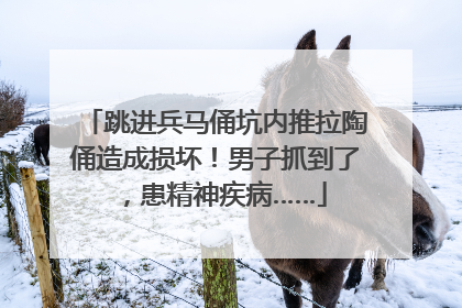 跳进兵马俑坑内推拉陶俑造成损坏！男子抓到了，患精神疾病……
