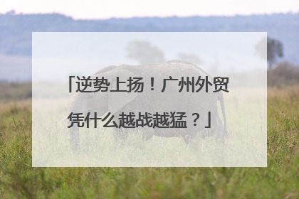 逆势上扬！广州外贸凭什么越战越猛？