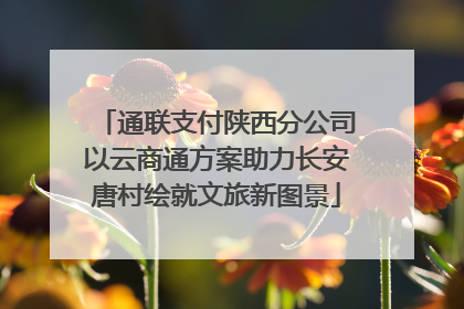 通联支付陕西分公司以云商通方案助力长安唐村绘就文旅新图景