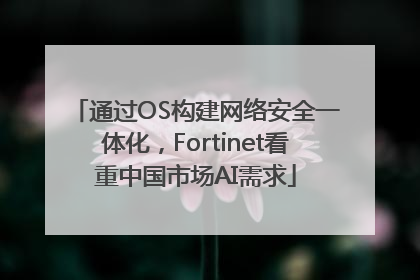 通过OS构建网络安全一体化，Fortinet看重中国市场AI需求