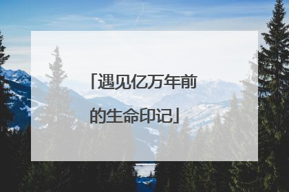 遇见亿万年前的生命印记