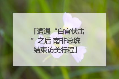 遭遇“白宫伏击”之后 南非总统结束访美行程