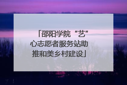 邵阳学院“艺”心志愿者服务站助推和美乡村建设