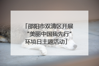邵阳市双清区开展“美丽中国我先行”环境日主题活动