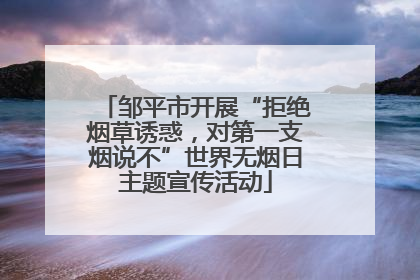 邹平市开展“拒绝烟草诱惑，对第一支烟说不”世界无烟日主题宣传活动