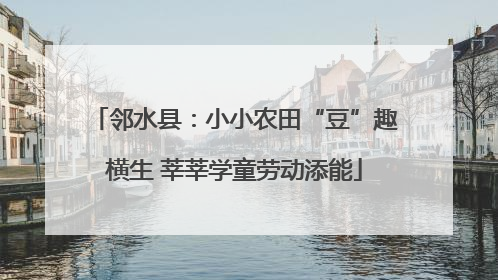 邻水县：小小农田“豆”趣横生 莘莘学童劳动添能