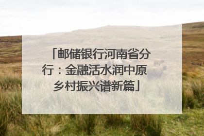 邮储银行河南省分行：金融活水润中原 乡村振兴谱新篇