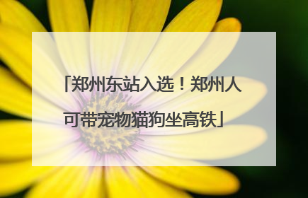 郑州东站入选！郑州人可带宠物猫狗坐高铁