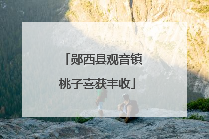郧西县观音镇桃子喜获丰收