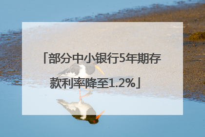 部分中小银行5年期存款利率降至1.2%