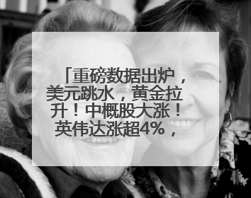 重磅数据出炉，美元跳水，黄金拉升！中概股大涨！英伟达涨超4%，市值重返全球第一！黄仁勋计划出售至多600万股股票