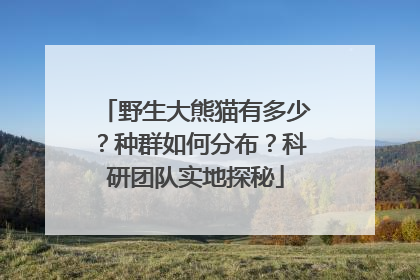 野生大熊猫有多少？种群如何分布？科研团队实地探秘