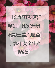 金华开发区洋埠镇：扎实开展汛期三普点巡查，筑牢安全生产防线