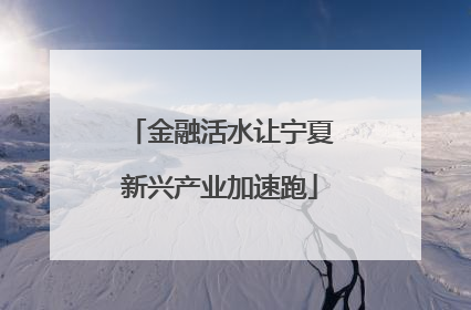 金融活水让宁夏新兴产业加速跑