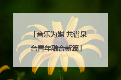 音乐为媒 共谱泉台青年融合新篇