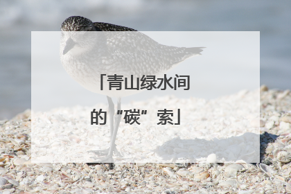 青山绿水间的“碳”索